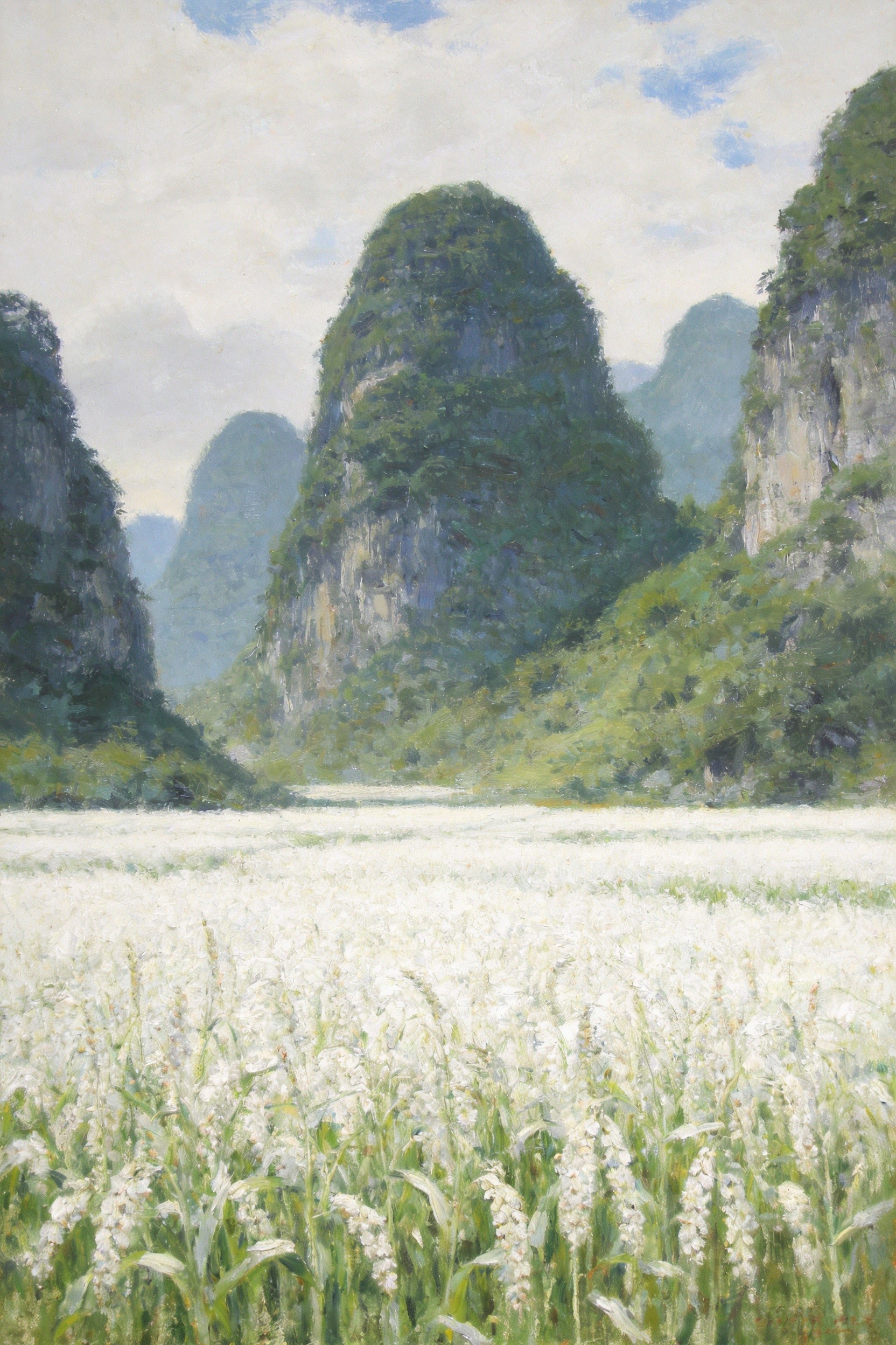 薏仁花开如雪